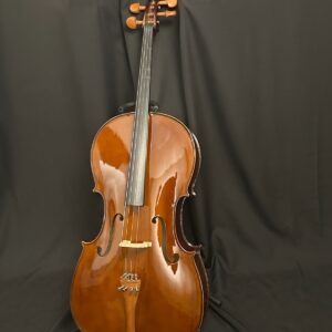Cecilio CCO-300 4/4 Cello Outfit