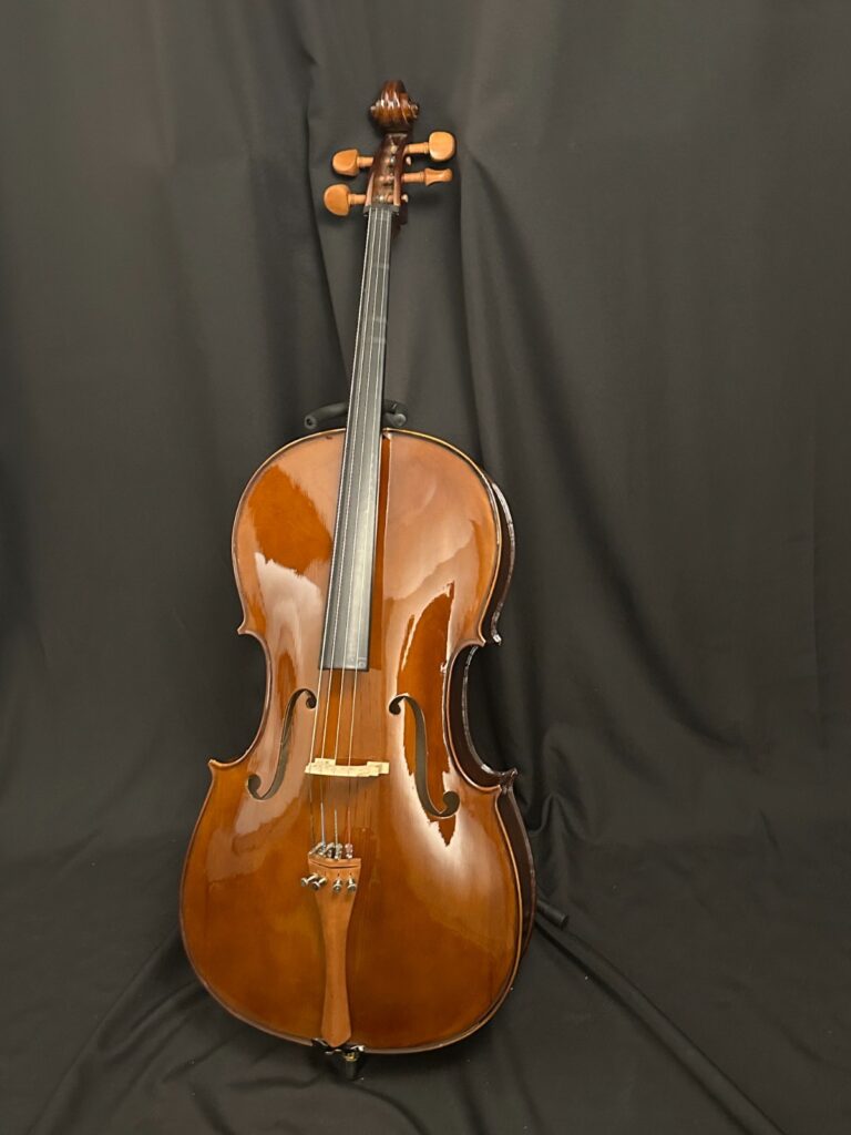 Cecilio CCO-300 4/4 Cello Outfit