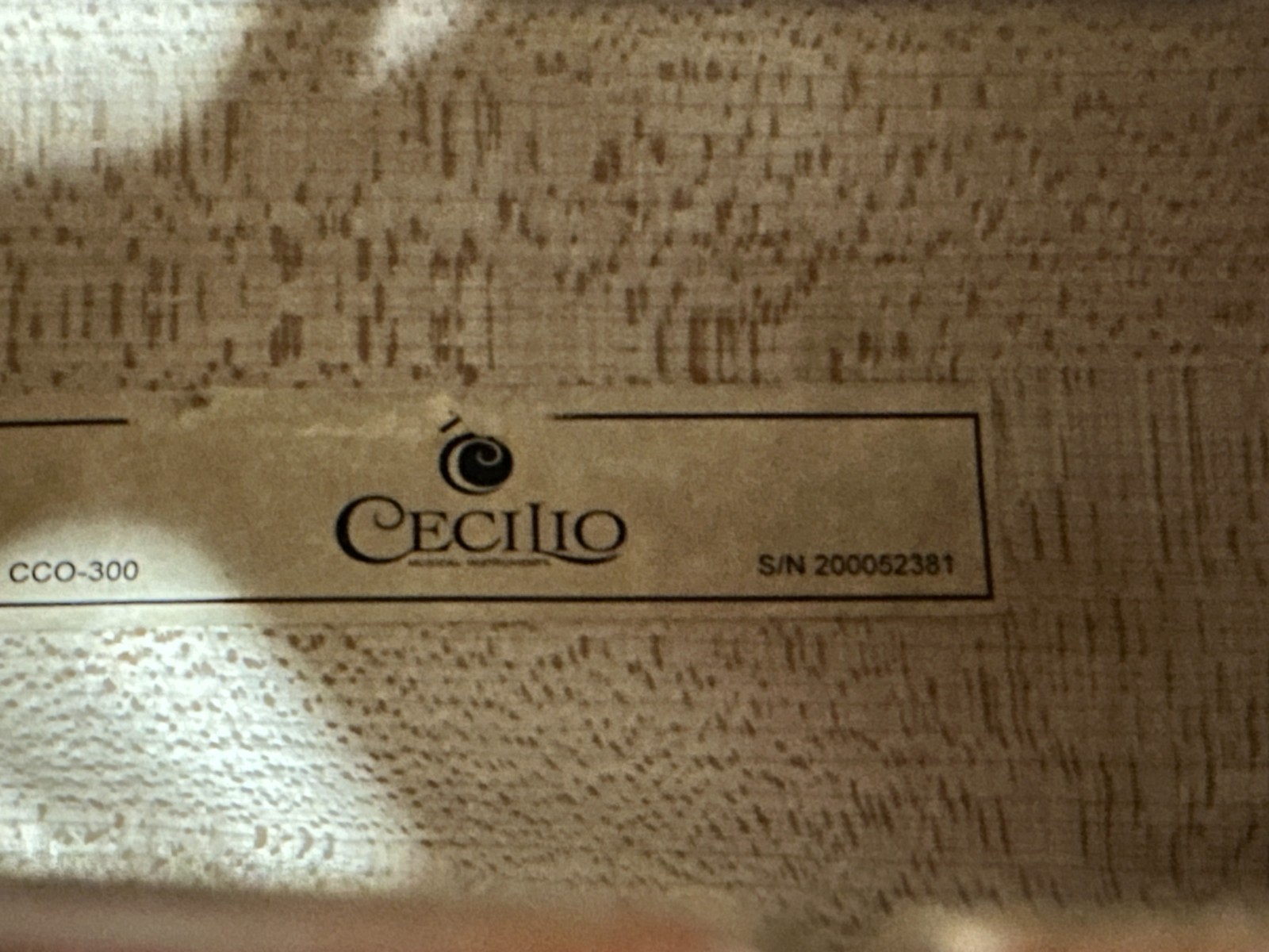 Cecilio CCO-300 4/4 Cello Outfit - Image 7