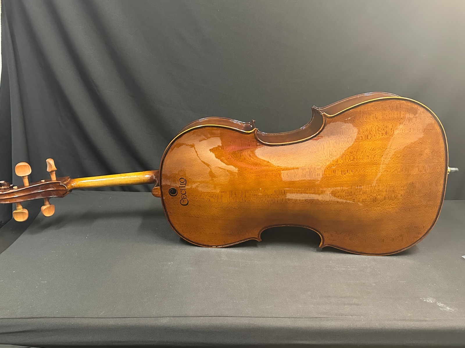 Cecilio CCO-300 4/4 Cello Outfit - Image 11