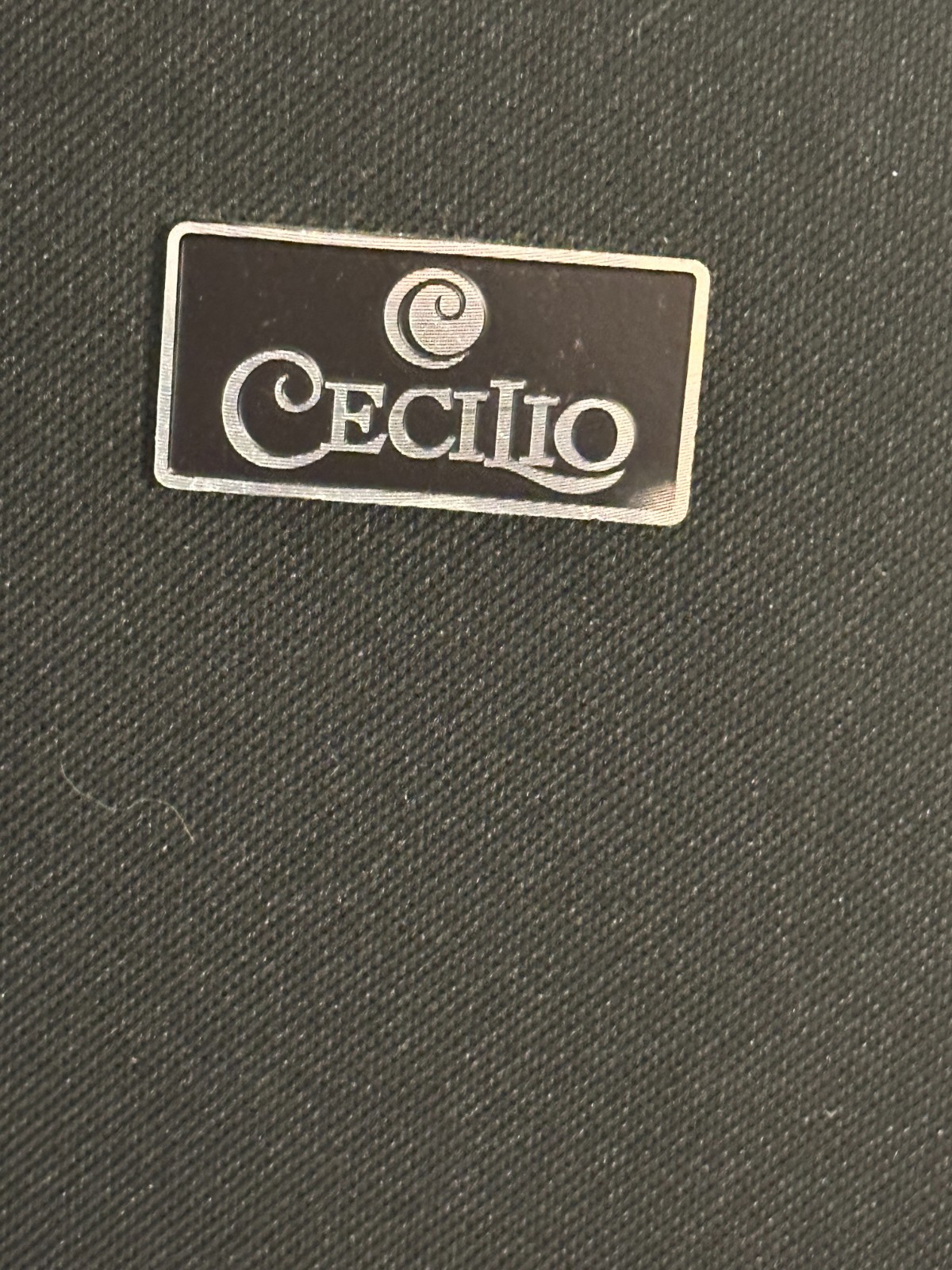 Cecilio CCO-300 4/4 Cello Outfit - Image 20