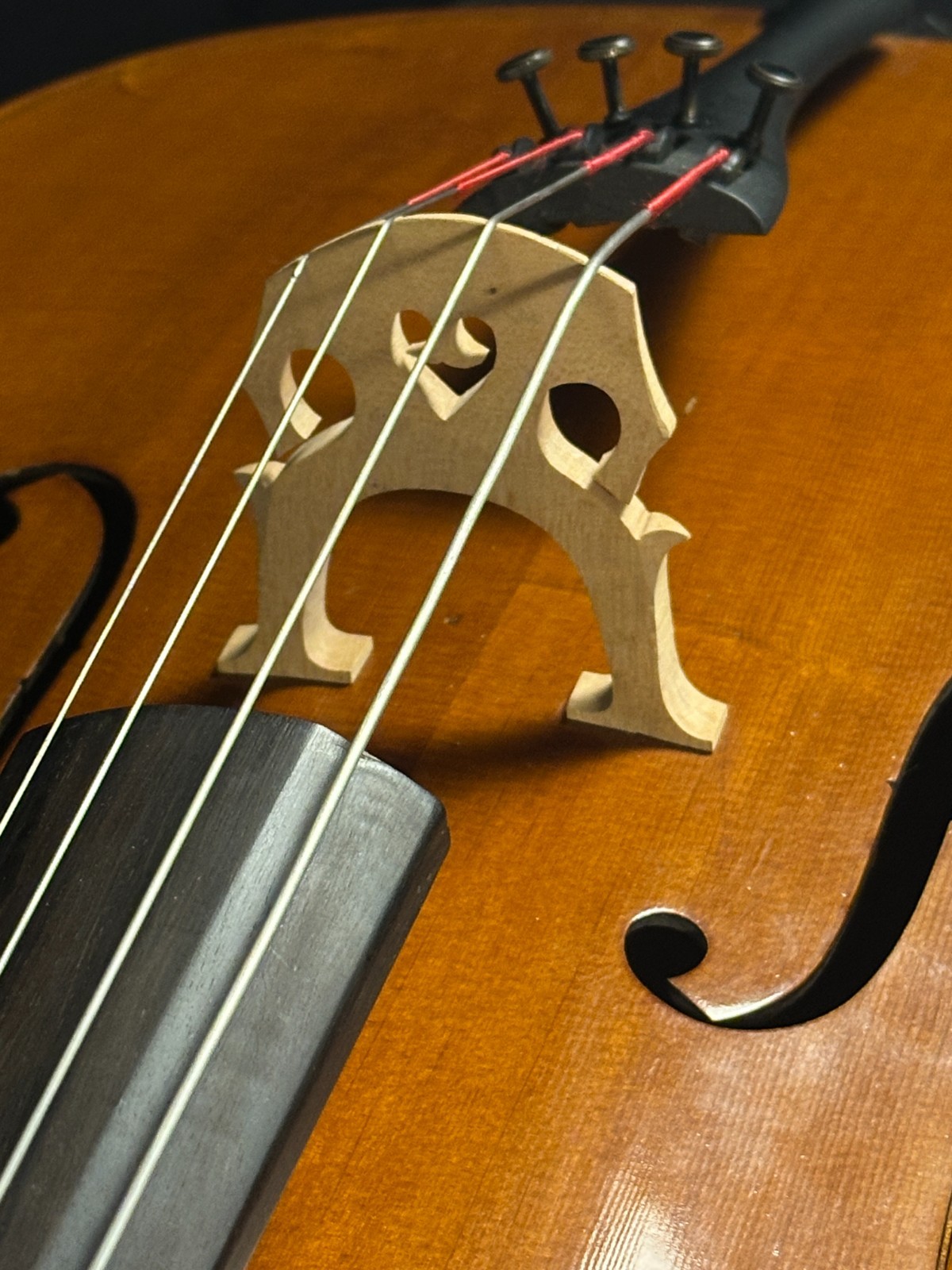 Scott Cao 2/1005 1/2 Size Cello Outfit - Image 4
