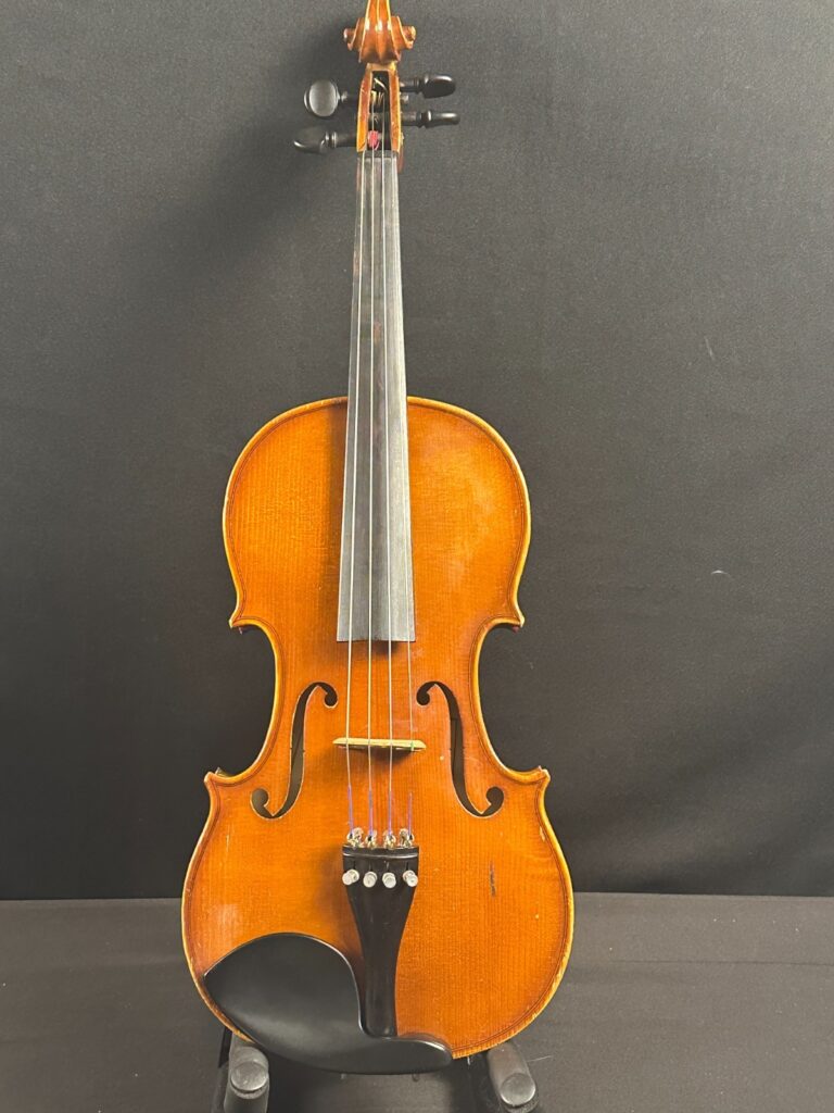 R. Paesold PA800 4/4 Violin Outfit
