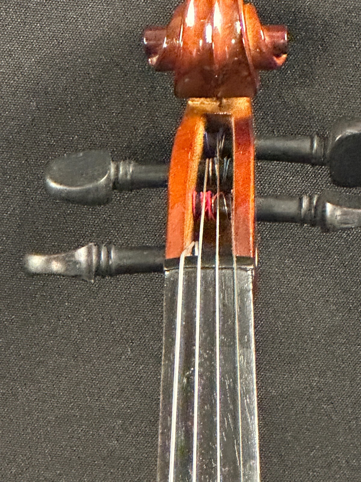 Countrywood 1/2 Violin Outfit - Image 12