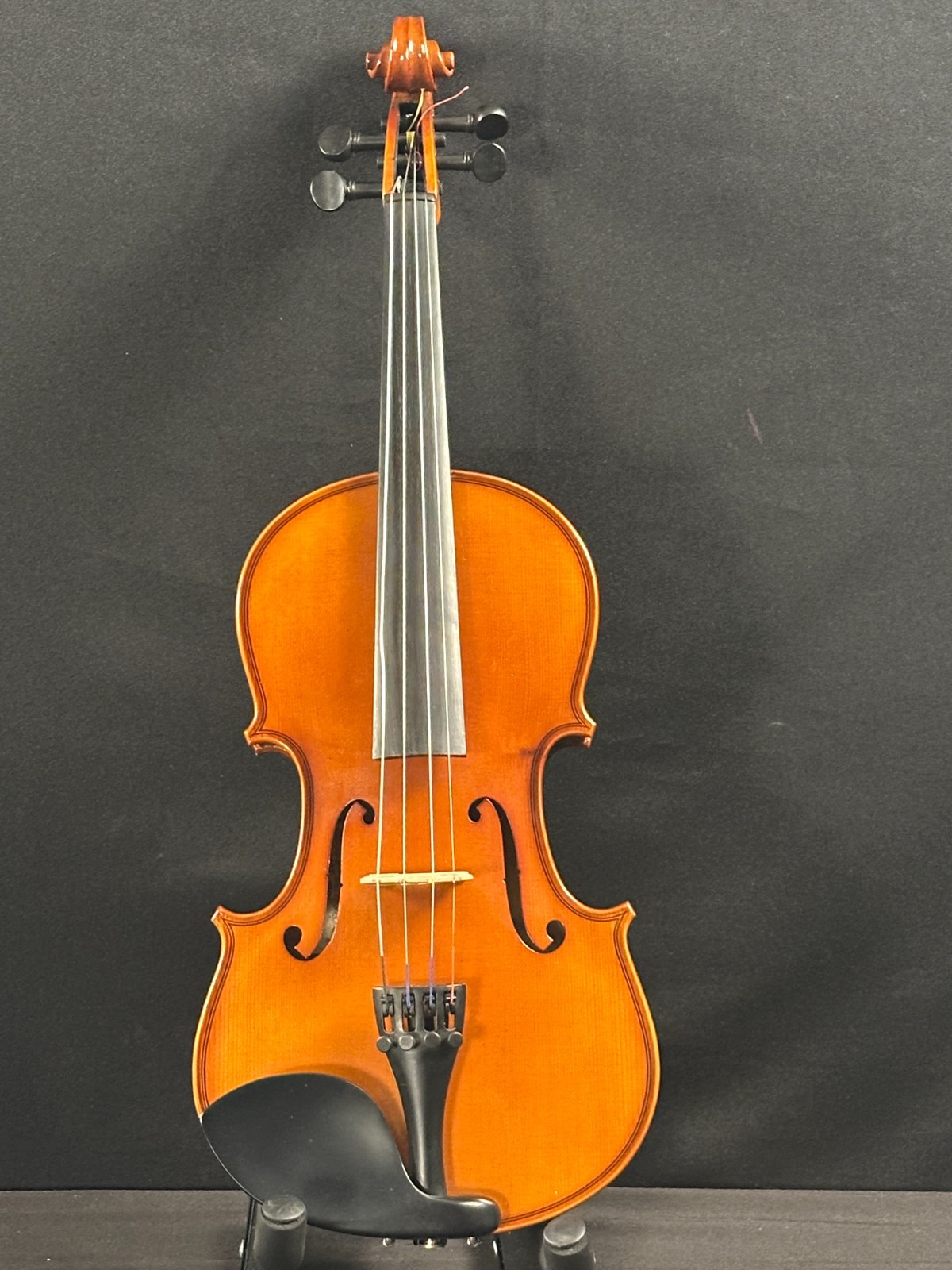 Gainesville Violins Antonio Vivaldi 3/4 Violin Outfit, new Glasser bow!