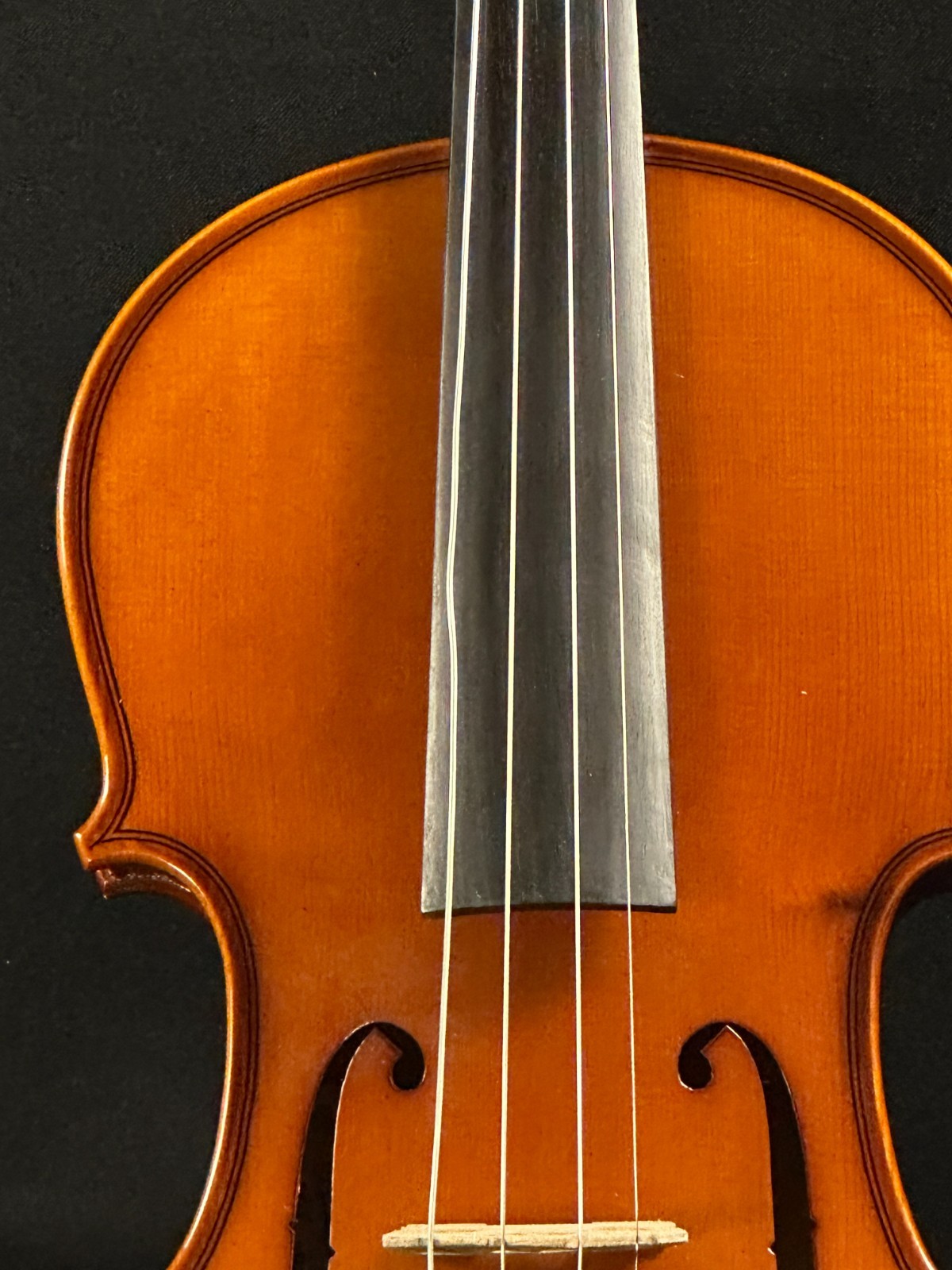 Gainesville Violins Antonio Vivaldi 3/4 Violin Outfit, new Glasser bow! - Image 4