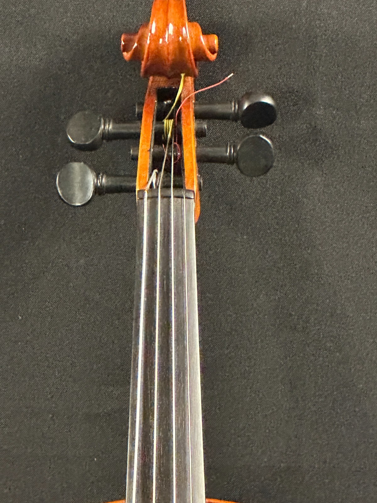 Gainesville Violins Antonio Vivaldi 3/4 Violin Outfit, new Glasser bow! - Image 5