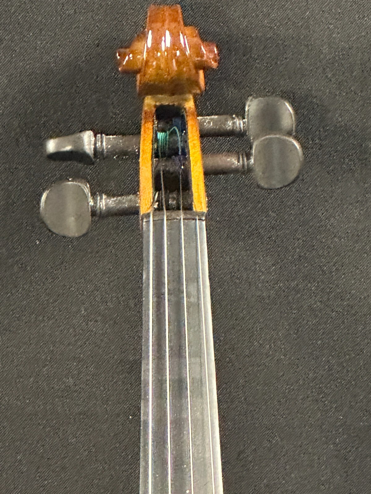 Musino VN2012 1/2 Violin Outfit, new Glasser bow! - Image 3