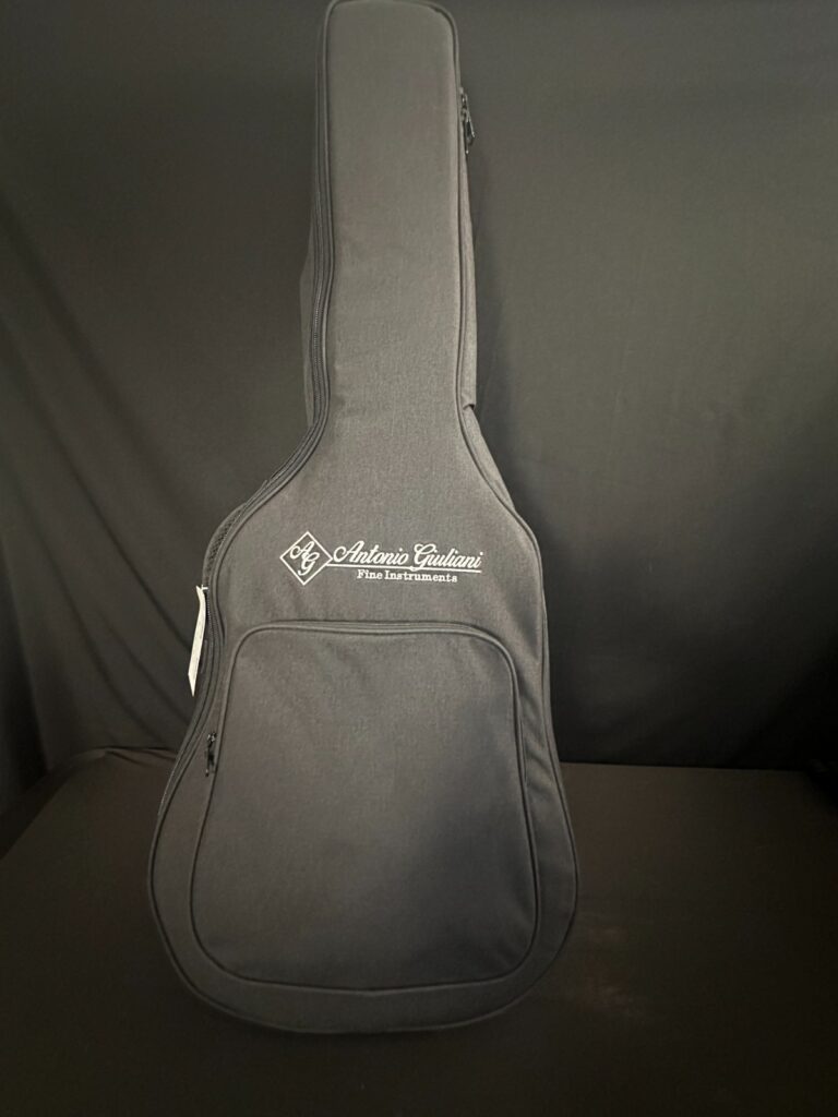 NEW Antonio Giuliani DN-2 Acoustic Dreadnought Guitar, strap, padded gig bag