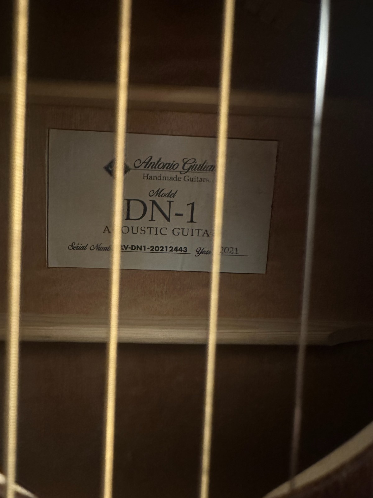 Antonio Giuliani DN-1 Acoustic Dreadnought Guitar- NEW - Image 3