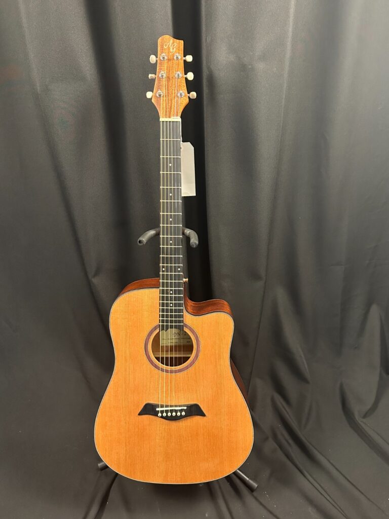 NEW Antonio Giuliani DN-2 Acoustic Dreadnought Guitar, strap, padded gig bag