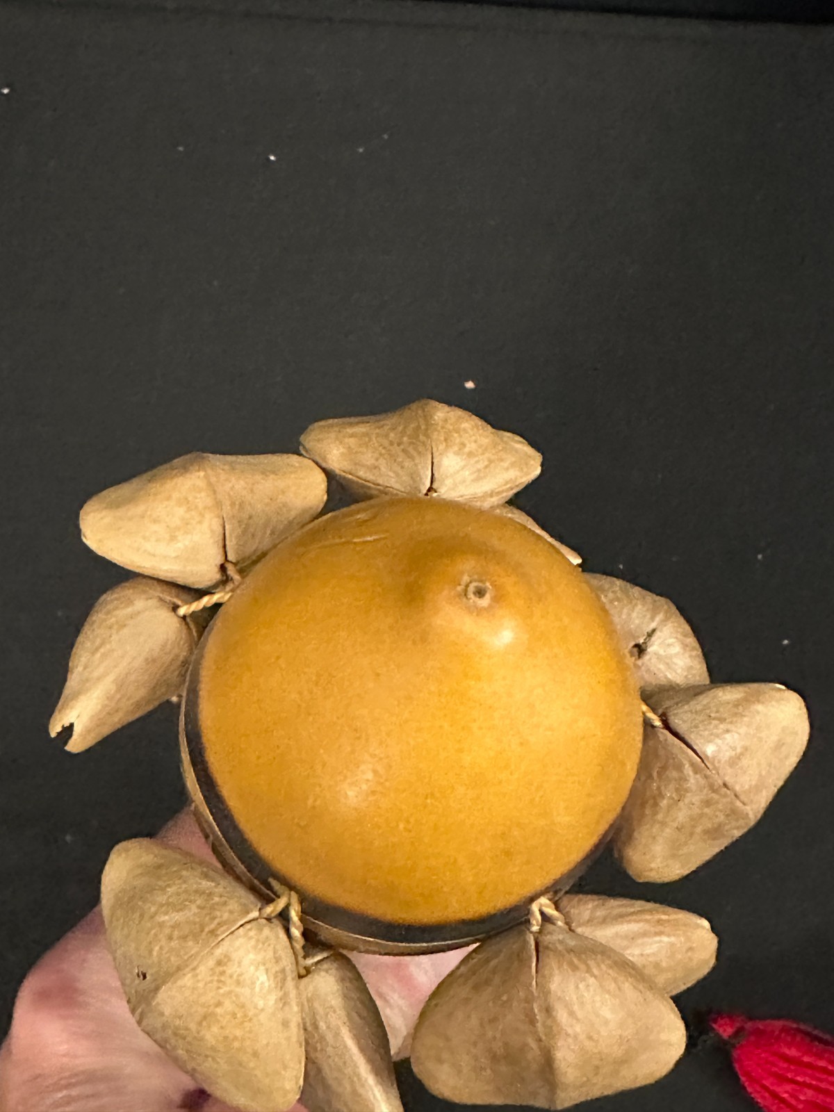7" Small African Gourd Shaker with nut shells and red tasseled strap - Image 4