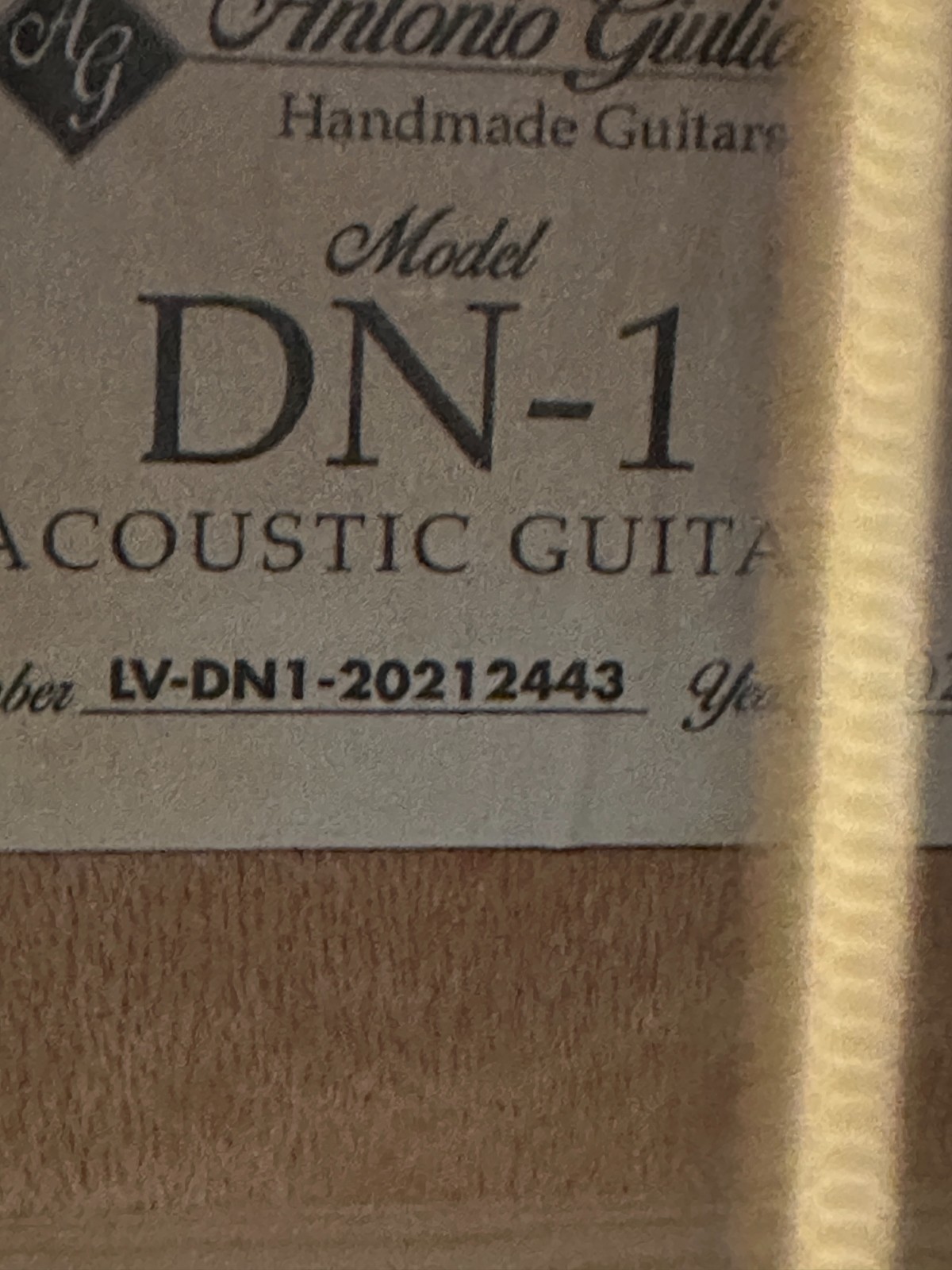 Antonio Giuliani DN-1 Acoustic Dreadnought Guitar- NEW - Image 4