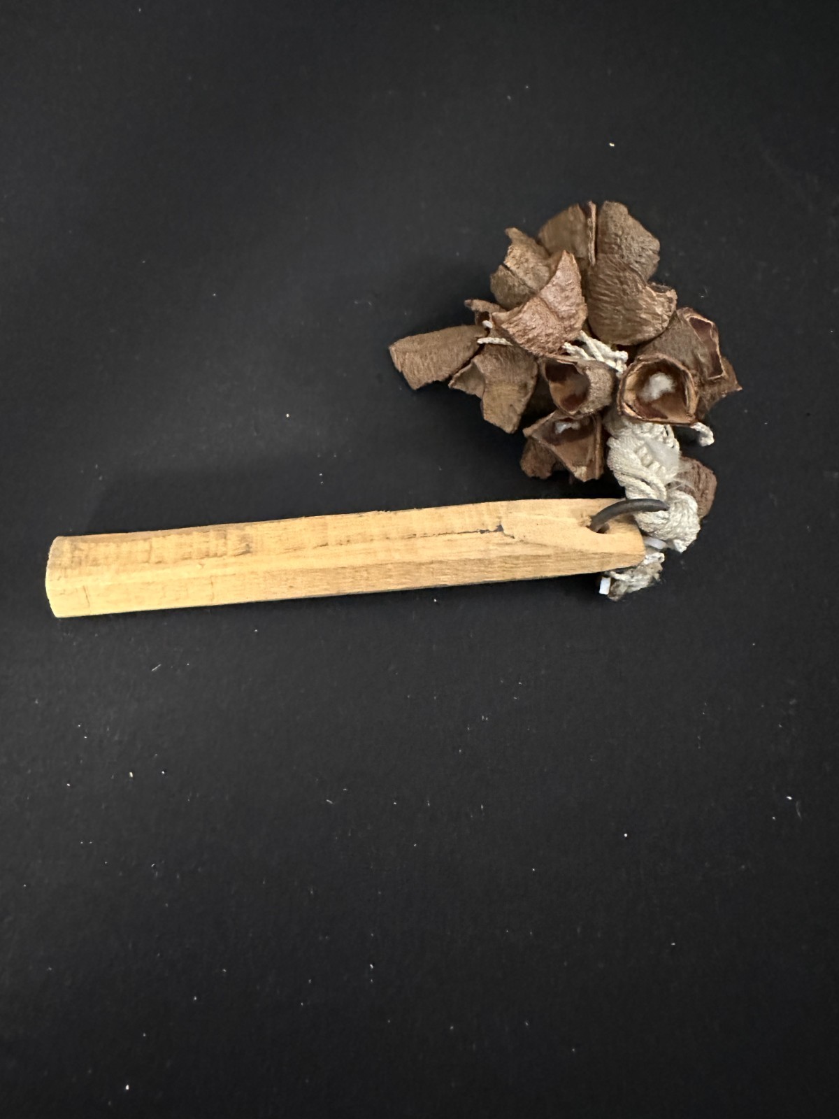 Brown Nutshell Shaker, 6in long, securely strung on wooden handle. - Image 4