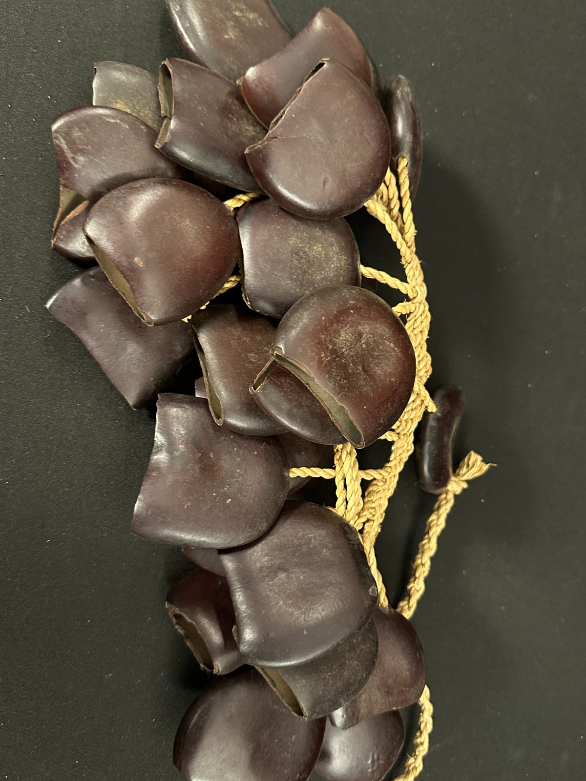 Pair of Seed Pod shakers, dark brown, made in Cameroon, attached on woven rope