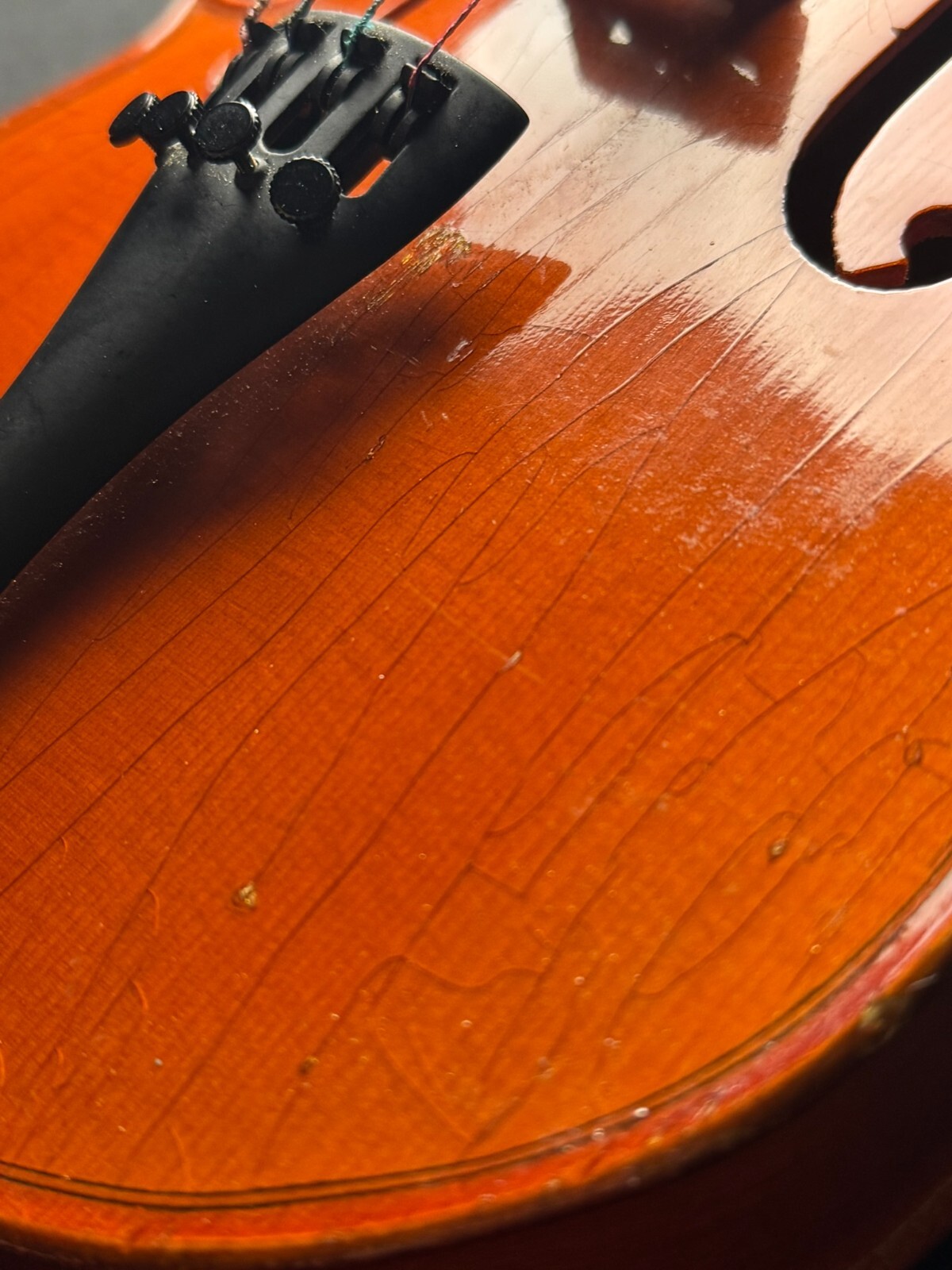 H. Siegler HS-10 4/4 Violin Outfit w/ Case & Bow - Image 5