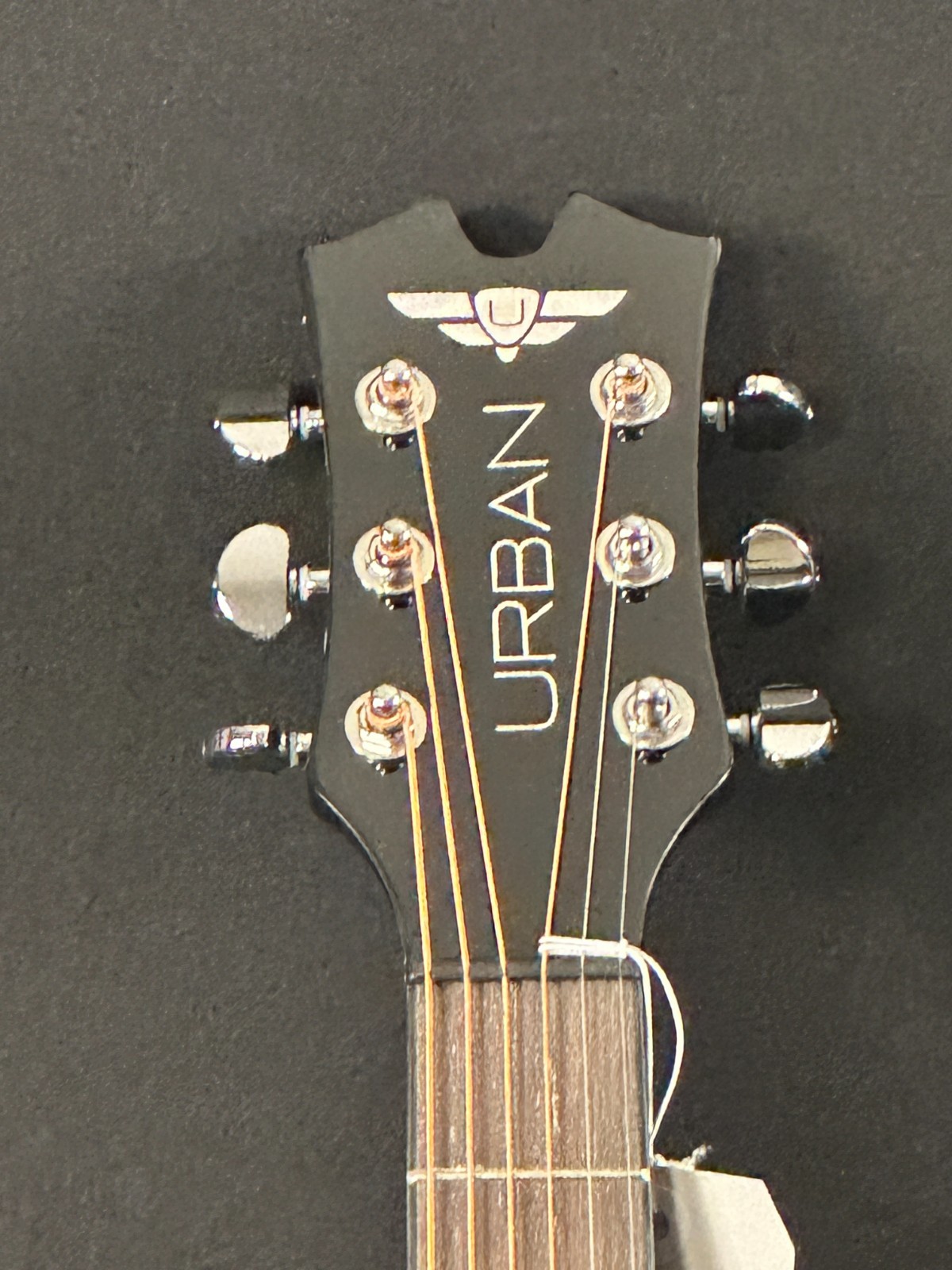 Limited Edition Keith Urban Ripcord Acoustic-Electric Guitar, blue, with KU amp - Image 2