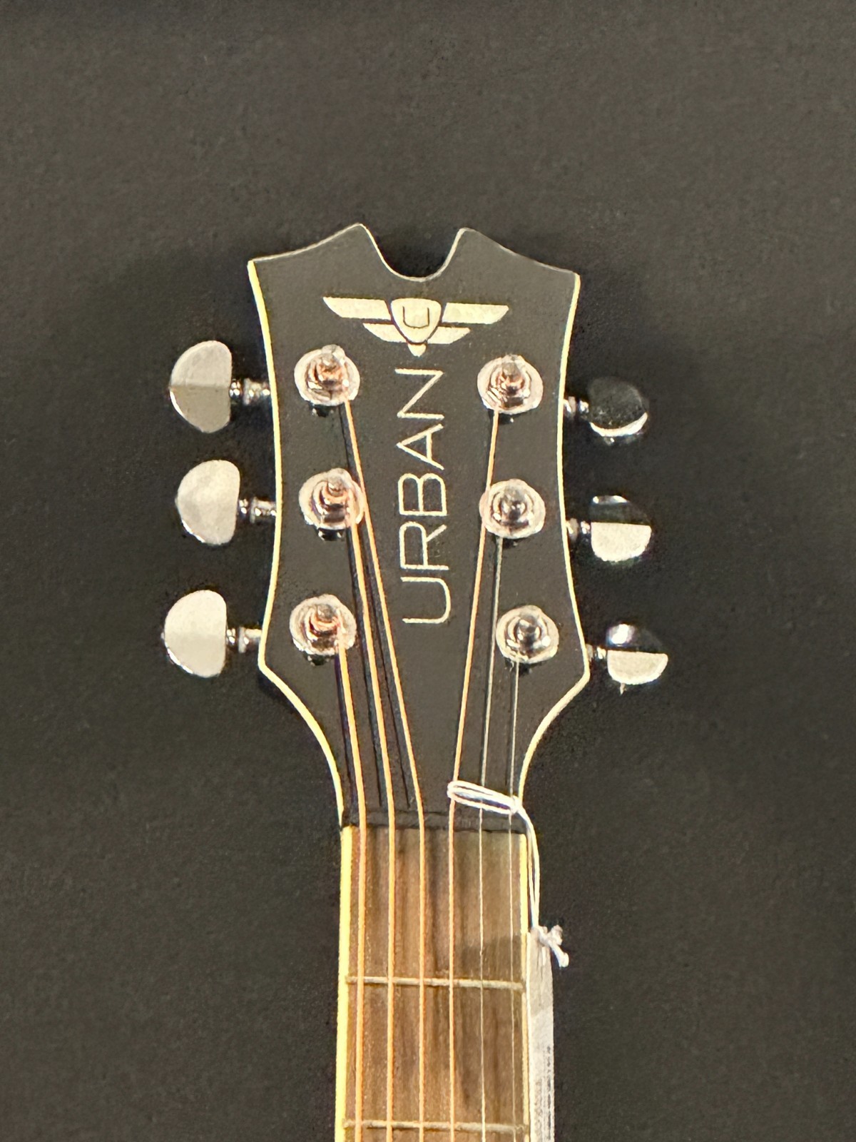 Keith Urban Player Acoustic Guitar, green, with strap, picks, capo, and gig bag - Image 3