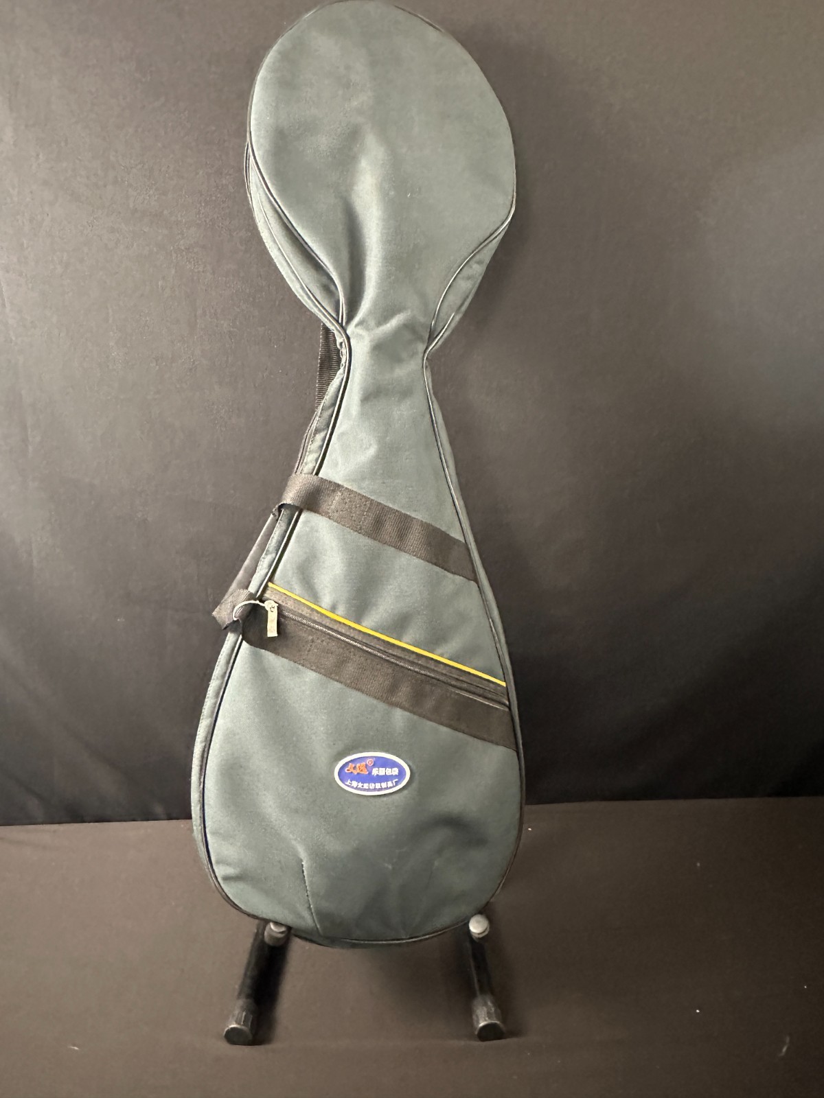 Dunhuang Chinese Pipa, 4 string with picks, tuner, and green gig bag, pro grade - Image 15