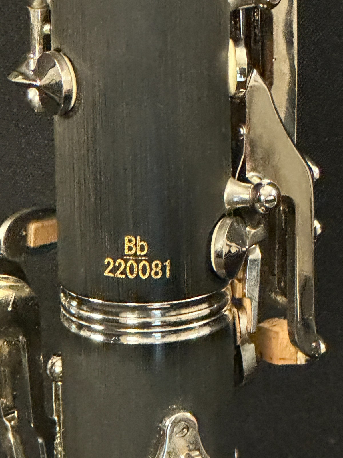 Ridenour Lyrique Noblissima Plastic Clarinet with black Protec ProPac Case - Image 13