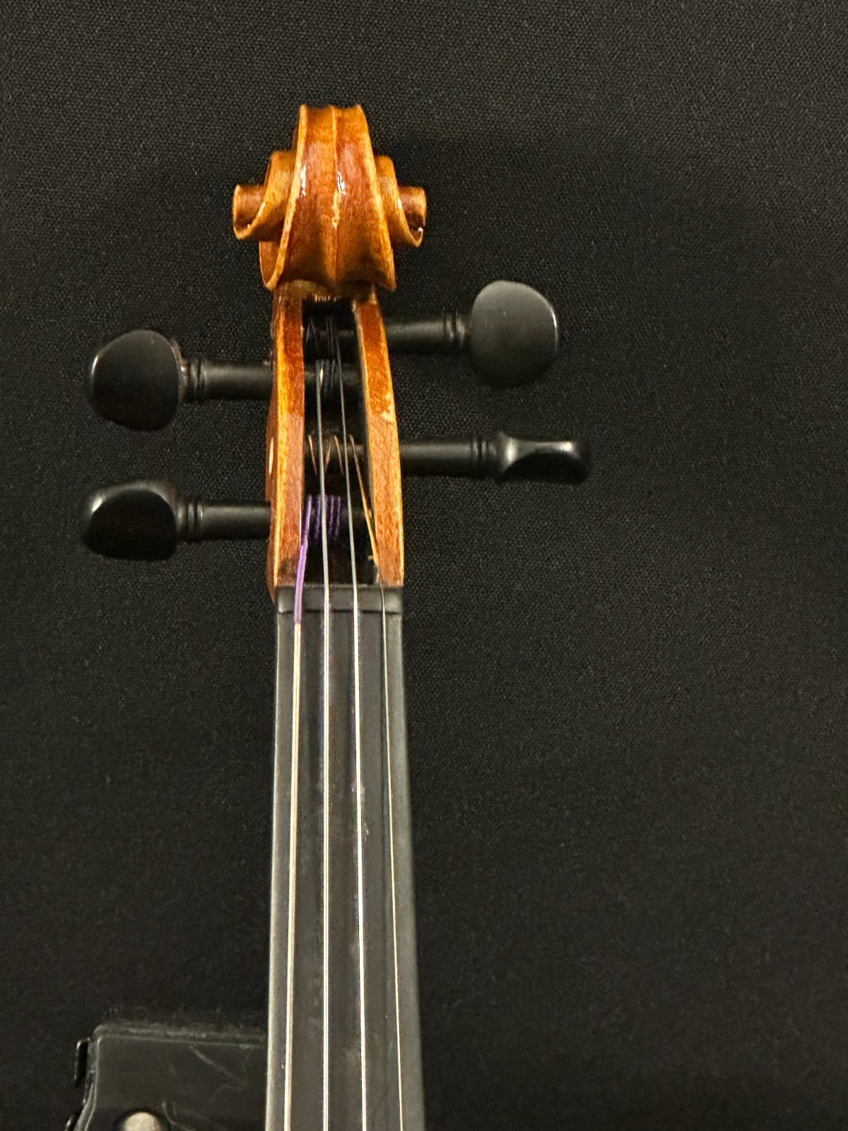 Franz Hoffmann Prelude 1/4 Violin with fine tuners, comes with case and new bow - Image 3
