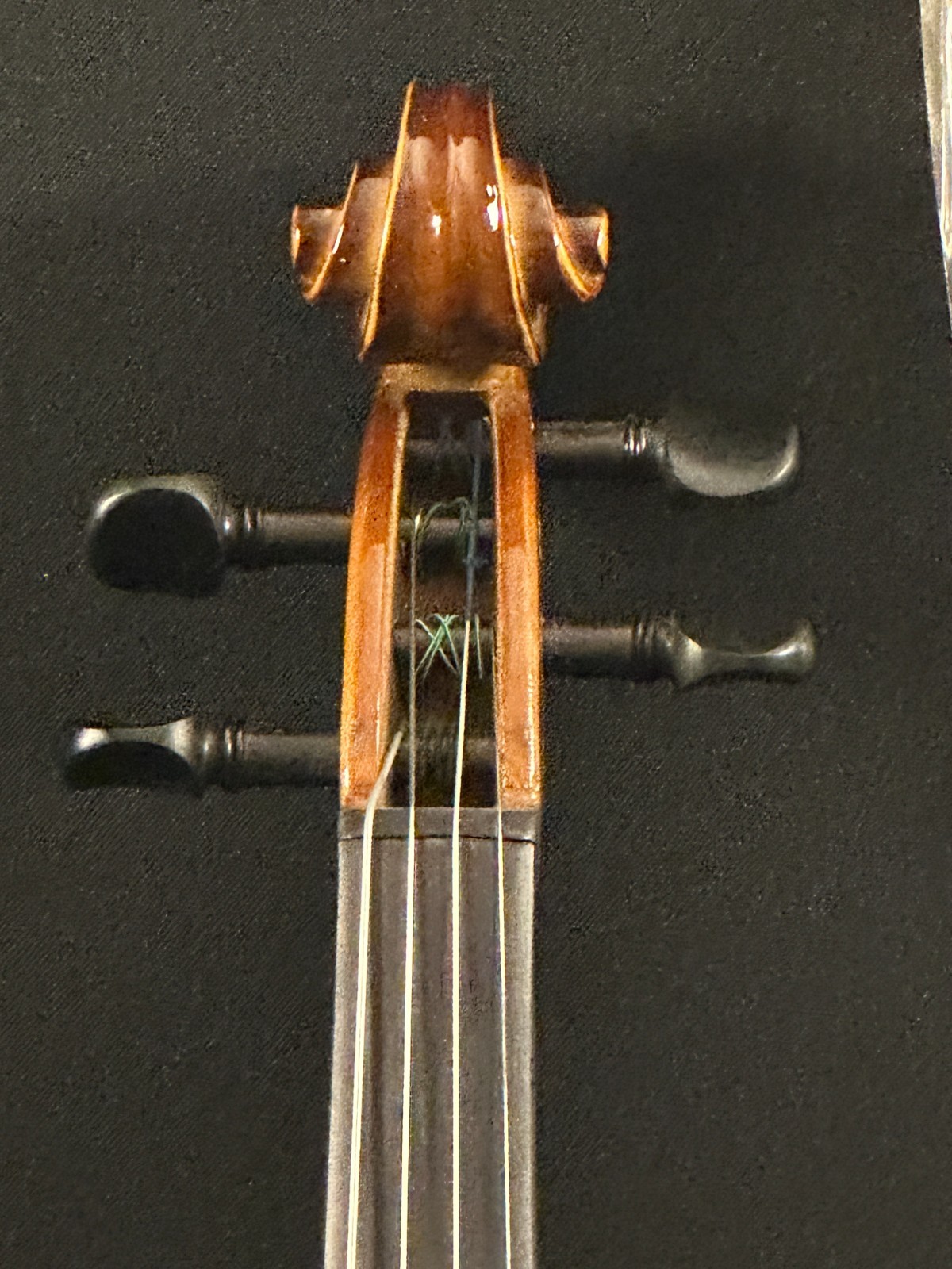 Franz Hoffman Prelude 4/4 Violin Outfit, new bow, case with straps, fine tuners - Image 3
