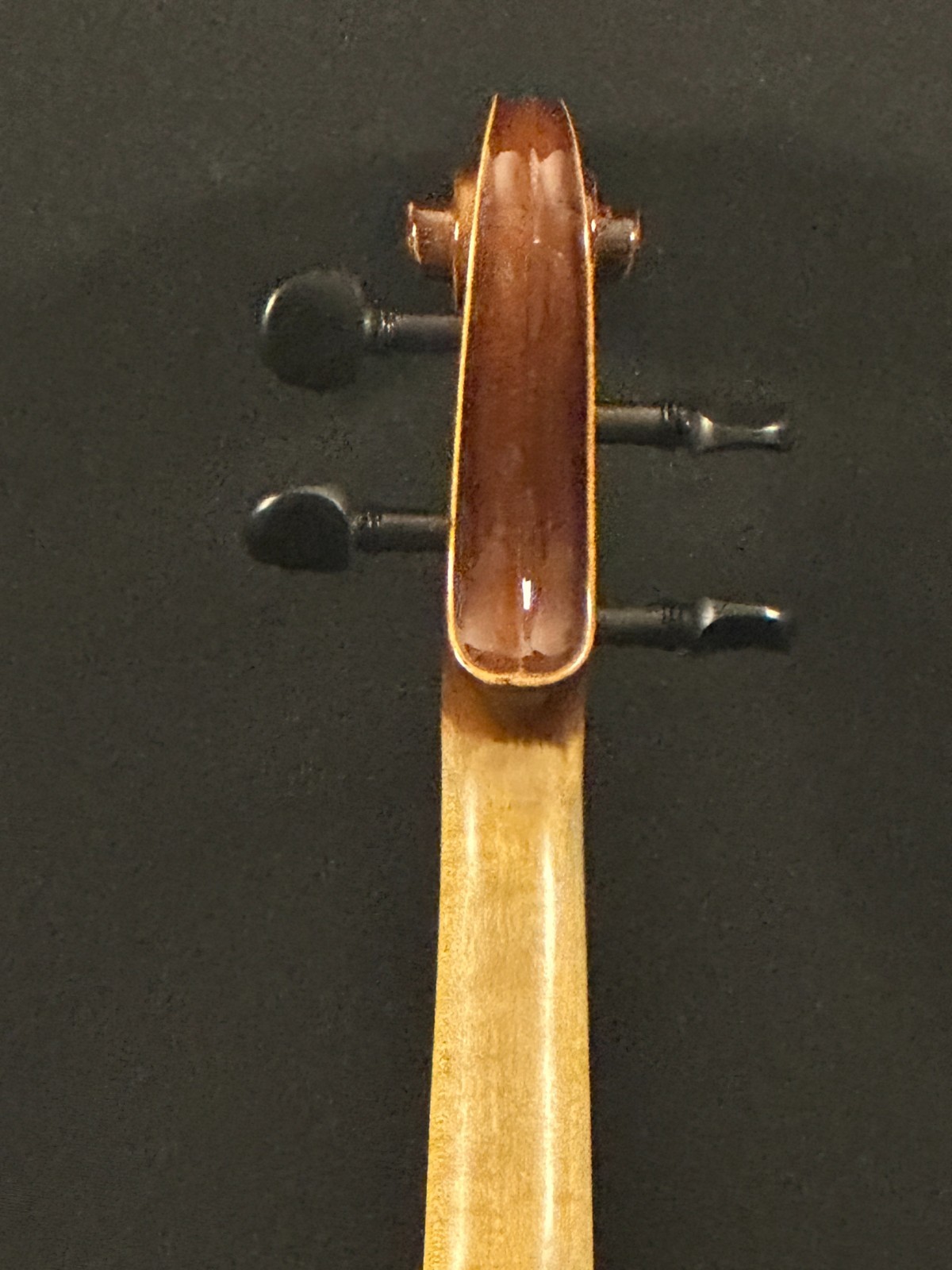 Franz Hoffman Prelude 4/4 Violin Outfit, new bow, case with straps, fine tuners - Image 12