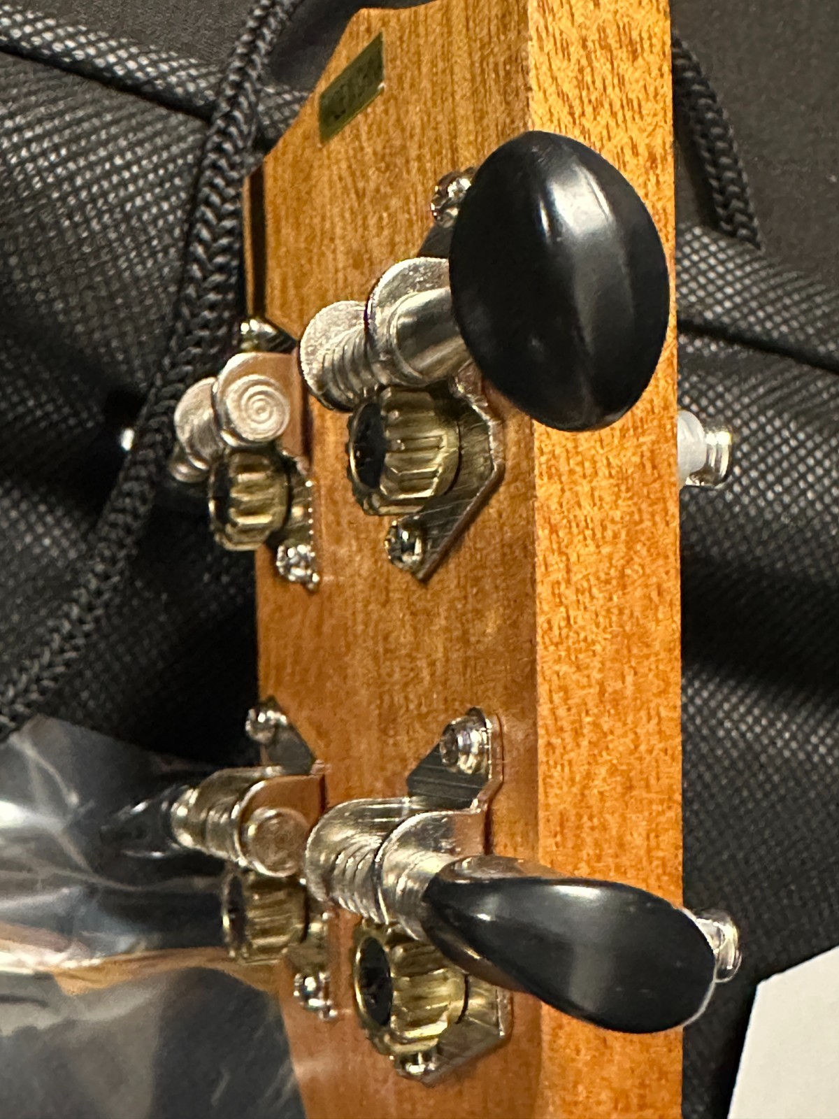 Kala "Learn to Play" Ukulele, Wood, with drawstring gig bag, nylon strings, capo - Image 15
