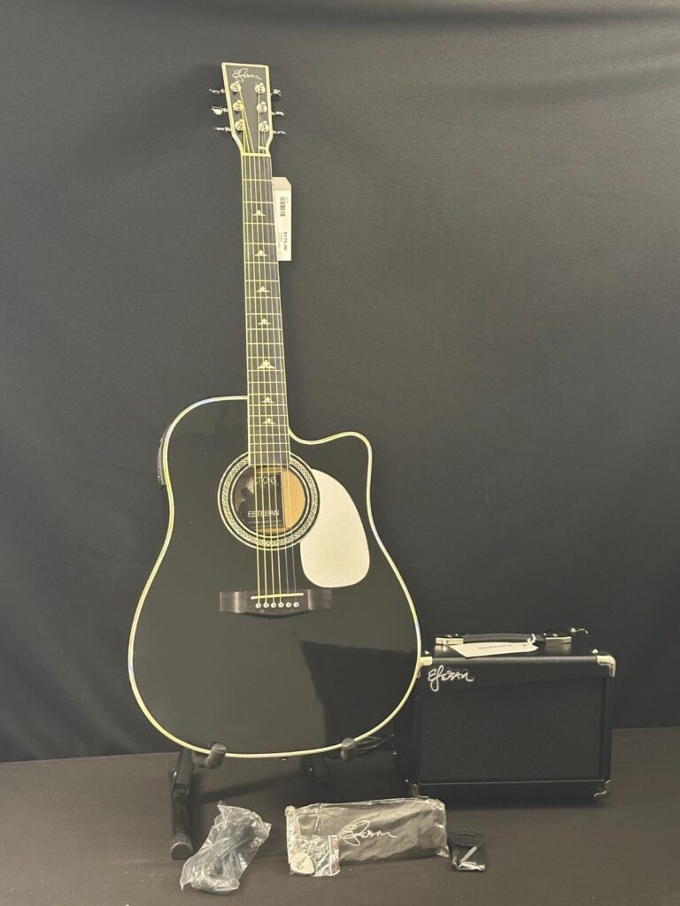 Esteban Reflections Acoustic-Electric Guitar, Black, comes with case and G-10amp