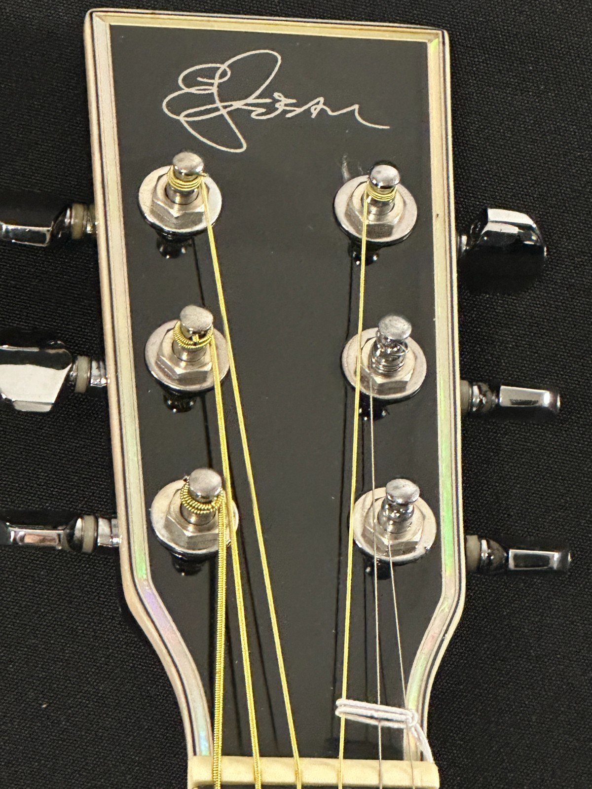 Esteban Reflections Acoustic-Electric Guitar, Black, comes with case and G-10amp - Image 2
