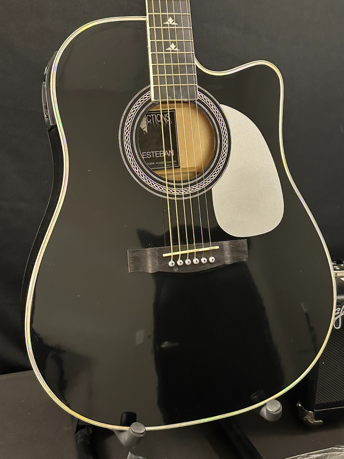 Esteban Reflections Acoustic-Electric Guitar, Black, comes with case and G-10amp - Image 4