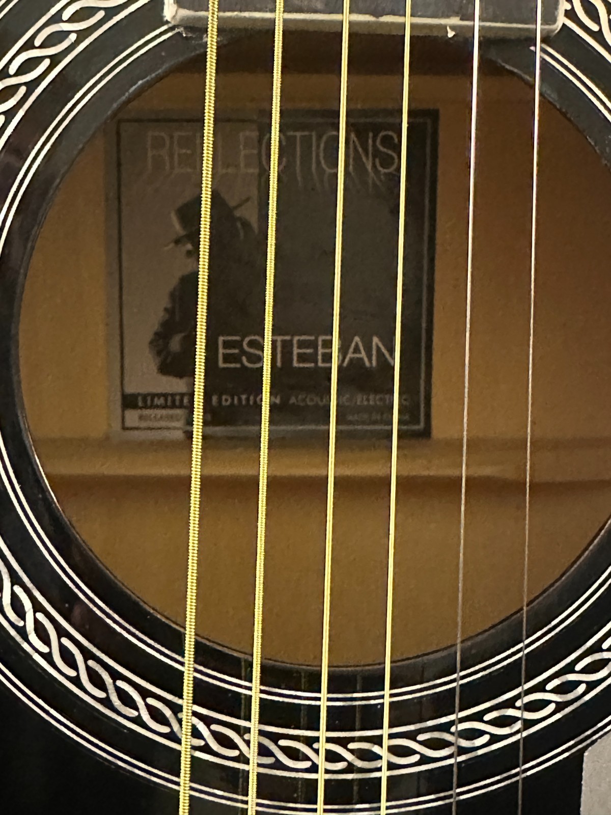 Esteban Reflections Acoustic-Electric Guitar, Black, comes with case and G-10amp - Image 5