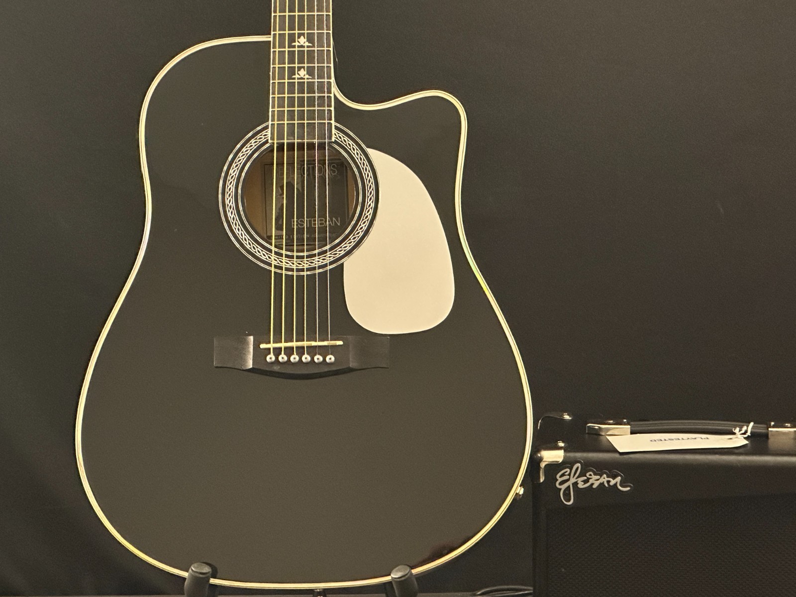 Esteban Reflections Acoustic-Electric Guitar, Black, comes with case and G-10amp - Image 6