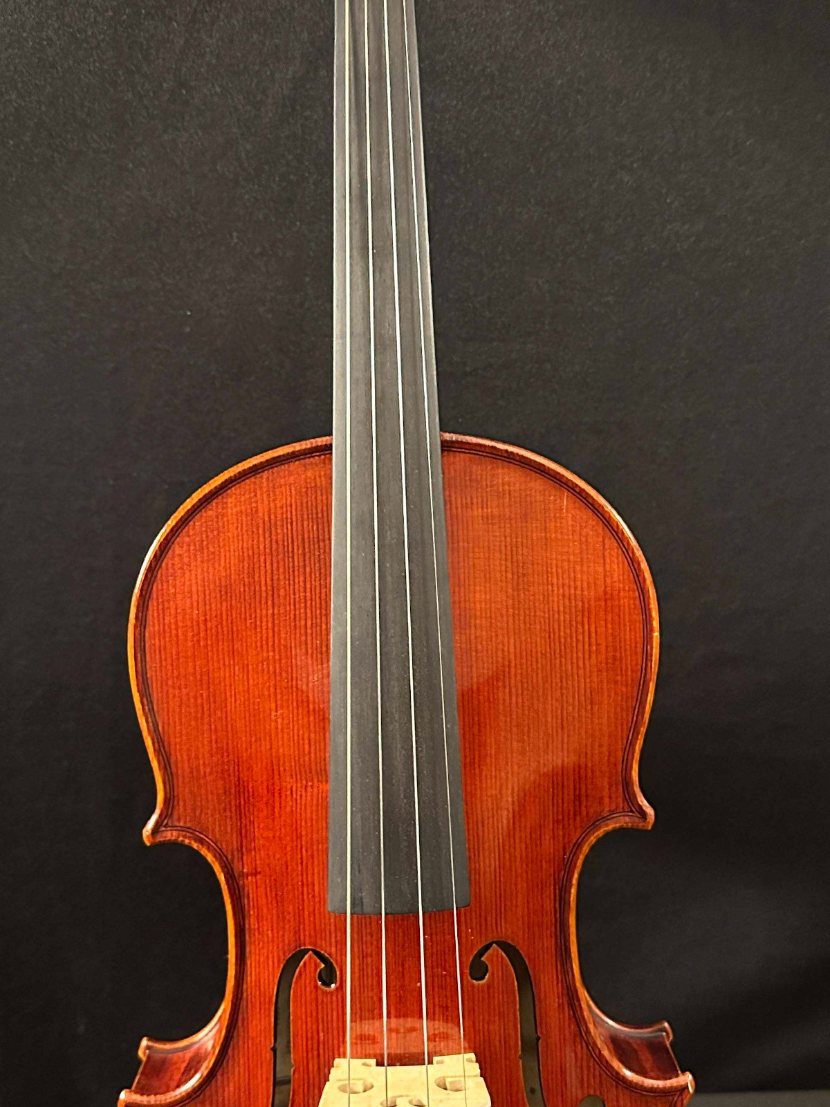 Strobel ML-105 Full Size Violin outfit with Cadenza Overture bow and hygrometer - Image 9