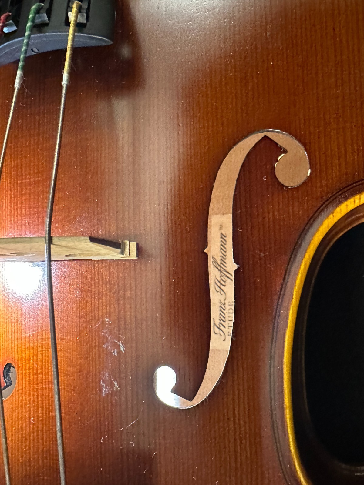 Franz Hoffman Etude 14" Viola Outfit with bow, fine tuners, and padded case - Image 3