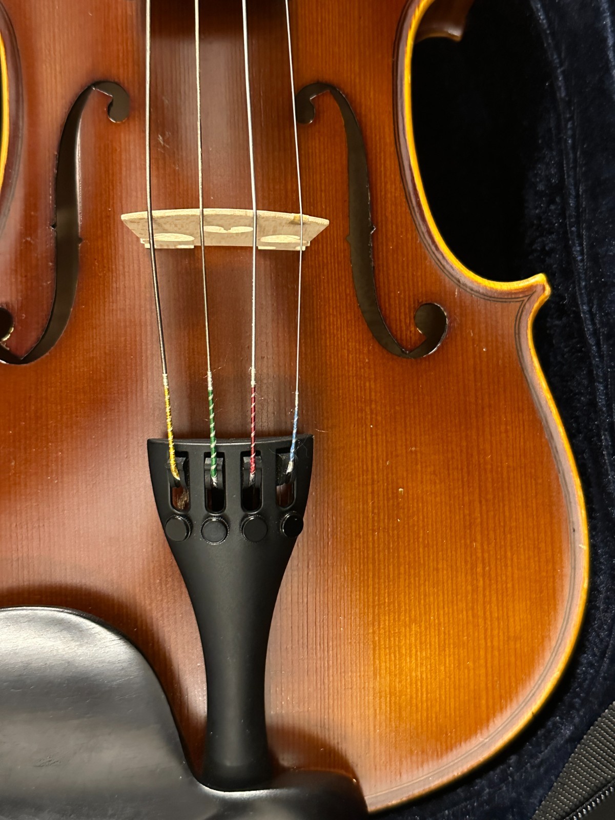 Franz Hoffman Etude 14" Viola Outfit with bow, fine tuners, and padded case - Image 5