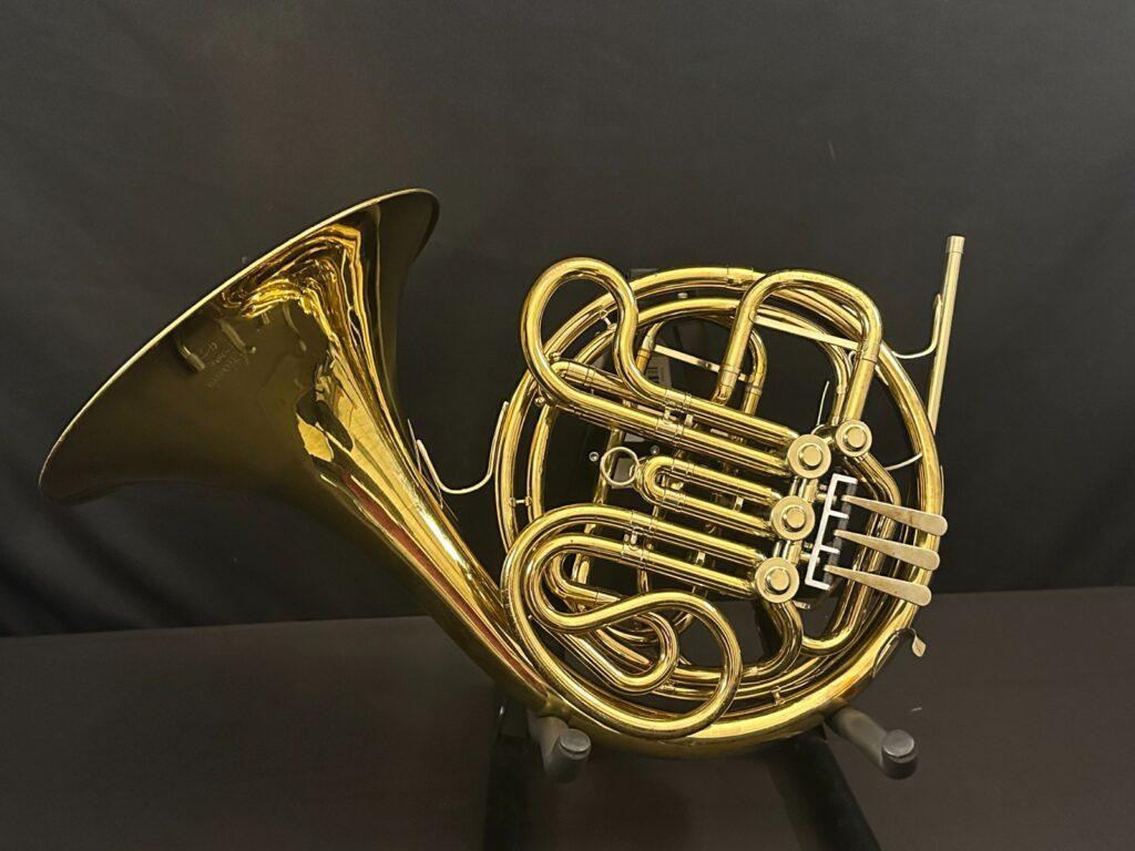 King Fidelio Double French Horn with NEW Protec case, cleaned ready to play!
