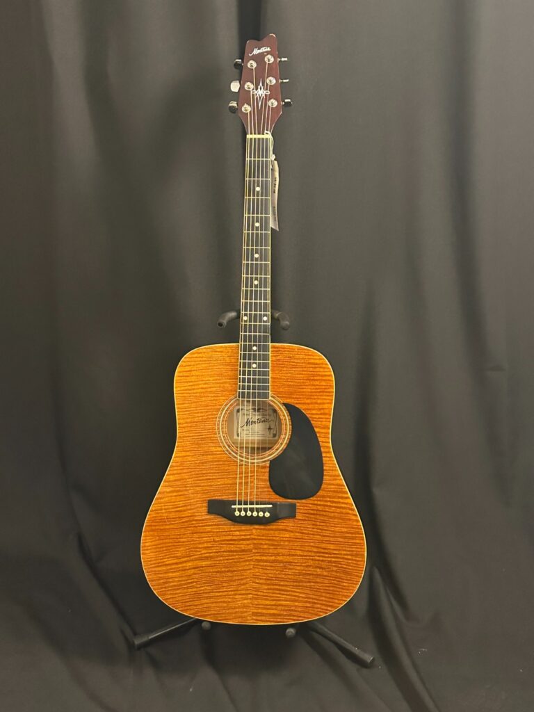 Montana MT 105-AF Acoustic Guitar, set up by pro luthier with Chromacast case