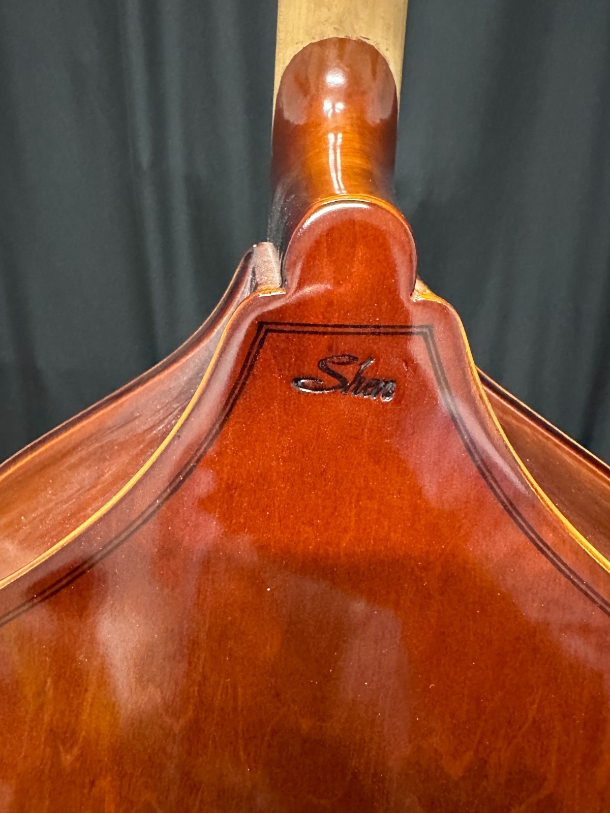 Samuel Shen SB80 3/4 size Double Bass w/bow, rosin, and gig bag, no shipping!! - Image 9